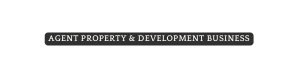 AGENT PROPERTY DEVELOPMENT BUSINESS